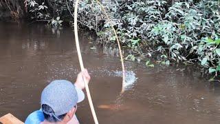 MASIH GANAS MESKI CUMA PAKAI UMPAN BELUT DAN IKAN SELUANG