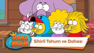 Sihirli Tohum ve Dahası - Kral Şakir