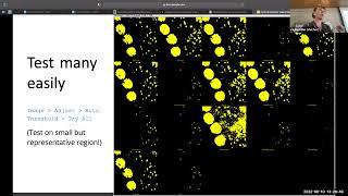 Segmentation & Colocalization