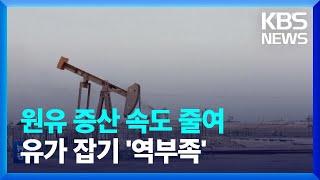 OPEC+ “다음 달 하루 10만 배럴 증산”…오히려 증산 속도 줄여 / KBS  2022.08.04.