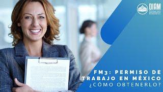  FM3  Permiso de Trabajo en México ¿Cómo Obtenerlo  