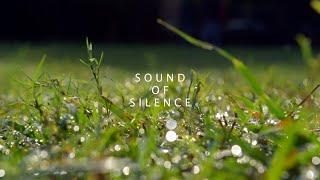 Sound of Silence- Short Film by Pratibimb, The Dramatics and Filmmaking society of DTU