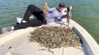 *BIG SHRIMPIN* South Carolina Style! Shrimp Catch Clean Cook