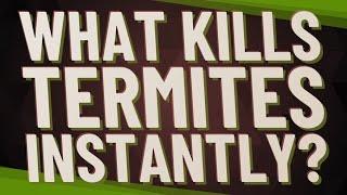 What kills termites instantly?