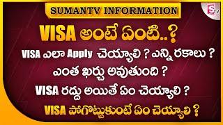 What is VISA ? | How to Apply Visa in Telugu | Types of Visa | Visa Interview 2022 | SumanTV Info