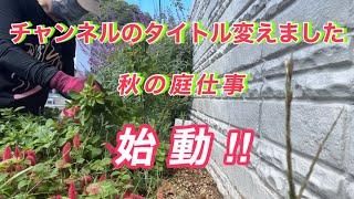 チャンネル名変えました#ガーデン#ガーデニング #庭仕事 #garden #gardening #gardenwork