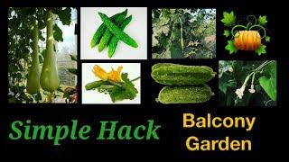 vegetable gardening hack for small balcony garden and apartment garden