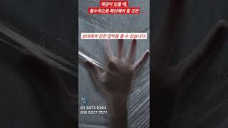 채권이 있을 때, 필수적으로 확인해야 할 것은 #법률 #shorts #정보 #지식