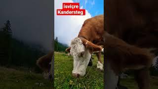 Switzerland 2022 Kandersteg