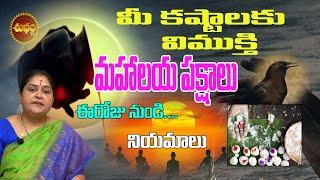 మహాలయ పక్షాలు ఇది చేస్తే కష్టాలు 90% పోతాయి | MAHALAYA PAKSHALU  | PITRUKARYALU | SHUBHAM TV