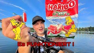 Angeln mit HARIBO und BLANKEM HAKEN! (Fische RASTEN aus!)