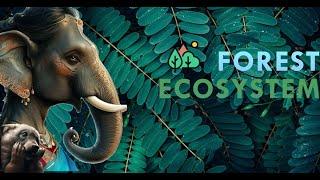 Exploring Forest Ecosystems: A Hidden World of Biodiversity