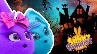 Cartoons for Children | Sunny Bunnies it's Halloween | Funny Cartoons For Children