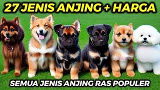 27 JENIS ANJING RAS ~ SEMUA JENIS ANJING PELIHARAAN DI DUNIA