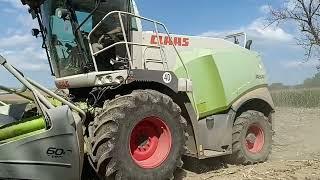 Siláže 2024 CLAAS JAGUAR 940