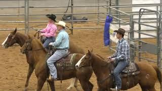 Team Penning #7 1st Go - 2019 USTPA Panhandle Pen & Sort