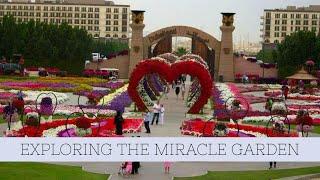 Dubai Miracle Garden | Trip to Miracle Garden | March 2015 | Elle & Lhyz