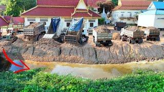 Amazing Dump-Truck Overloading PROJECT!! Delete Water On High Ground by Dozer Pushing Soils