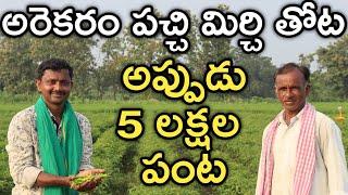 26 ఏండ్లుగా పచ్చి మిర్చి పండిస్తున్న | Green Chilli | రైతు బడి