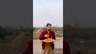 Orange Garden at Khanpur #orange #orangejuice #shortsviral #shortvideo #youtubeshorts #youtube