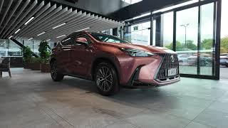 2024 Lexus NX 350h Premium - H BRID