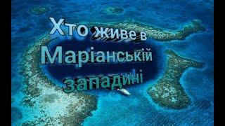 Хто живе в Маріанській западині?