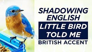 Shadowing English British Accent | Little Bird Told Me | P08