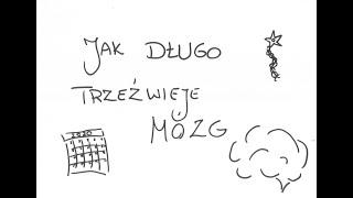 Jak długo trzeźwieje mózg