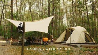 CAMPING with My Dog  | Snow Peak IGT Alpha Breeze & Takibi Tarp Hexa | 감성 캠핑 | 저녁 메뉴는 감자탕 | 캠핑 브이로그