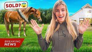 FMA auf unserem PONYHOF ️ (!!! Es gibt so viele NEWS!!! Und ein NEUES PONY ?!)