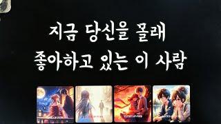 【타로연애운】 당신을 몰래 좋아하는 상대솔로연애운,속마음,새로운인연,썸,재회타로love fortune tarot