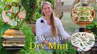 Four Ways to Dry Mint and Herbs for Winter (Do this now⏳)