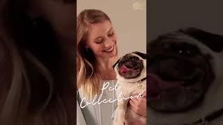 Gemondo pet charms - ft. Gizmo & Hugo & kitten v2