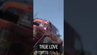 True Love of Toyota