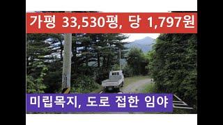 가평 33,530평, 당 1,797원 (미립목지, 도로 접한 임야)