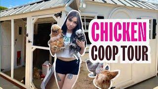 NEW CHICKEN COOP TOUR