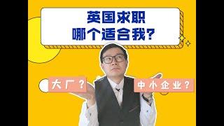 英国大厂卷？英国中小企业动荡？到底哪个更适合我？