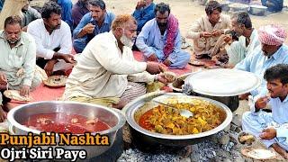 100/-Rs Only Ojri + 3 Roti Hafeez Bhai Ojri Siri Paye & Beef Pakistan Street Food | Punjabi Nashta