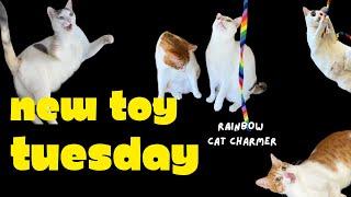 NEW TOY TUESDAY • Cat Dancer Rainbow Cat Charmer Review