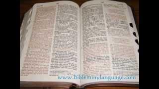 NKJV Holy Bible Giant Print Reference Edition