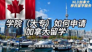 大专申请加拿大留学避坑指南