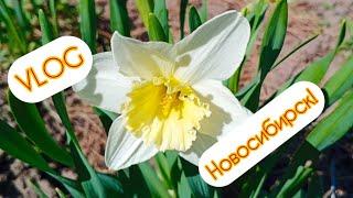 VLOG:1 мая,прогулка, музей, картины, набережная, ужин!!️