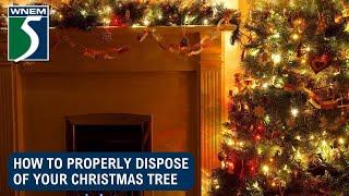 How to properly dispose of your Christmas tree