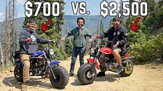 3 Way Mini Bike Comparison from Mild to WILD! 10 - 25 Horsepower SHOWDOWN at 9,000 Feet!