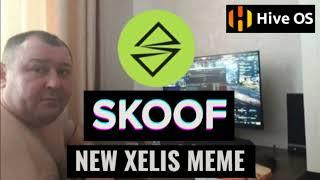 SKOOF (SKF) NEW MEME XELIS FORK! Easy HIVEOS Mining Tutorial + Pool + Wallet!