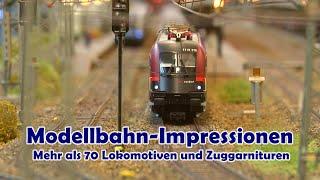 Pennula Modellbahn Videos: Die Welt der Modelleisenbahn - Mehr als 70 verschiedene Loks und Züge