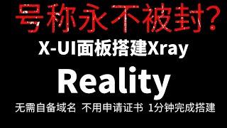 X-UI面板搭建Xray最新Reality协议|无需域名无需证书申请