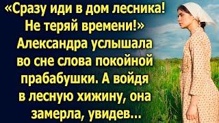 «Сразу иди в дом лесника! Не теряй времени!» Александра услышала во сне слова прабабушки…