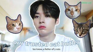 lee know is a cat butler (soonie, doongie and dori's dad)