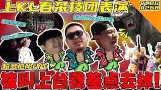 三十年没看杂技团！超大KingKong！还被叫上台我差一点去掉！【VLOG】#268